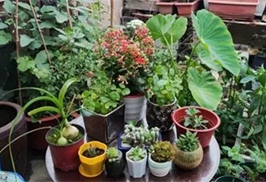 ���˳������������� | ˭���Ҽ���������ѻ���ä�У�