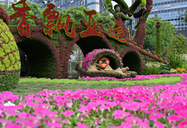 60���ֻ��ܣ�������˵�ζ������������