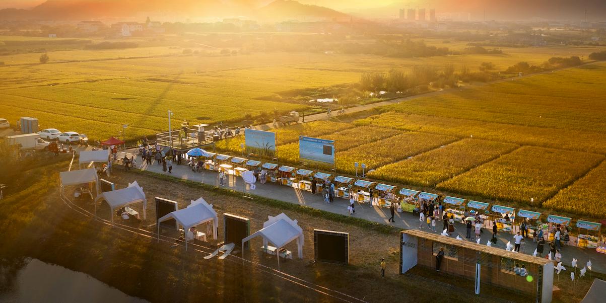 Rice Field Culture Festival