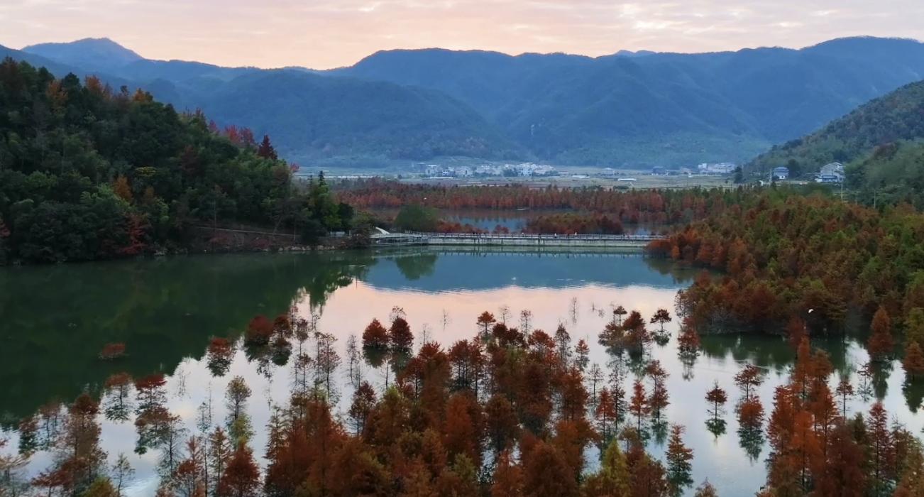 The Best Time to Visit the Redwood Forest in Changtan Reservoir!