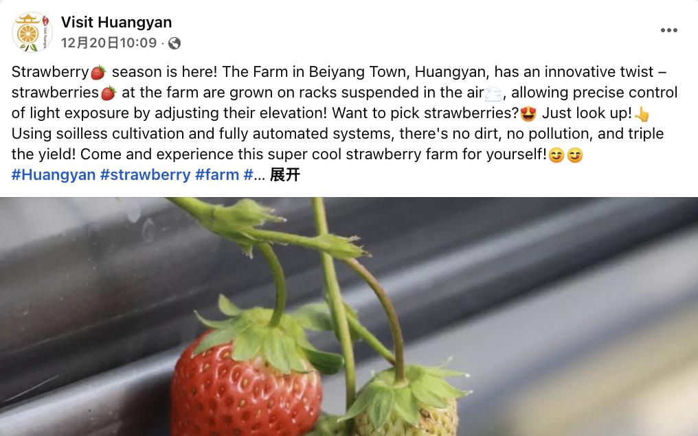 Come and experience this super cool strawberry farm for yourself!