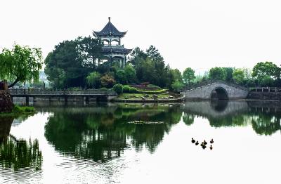 新河中学和市四中入围浙江省“美丽校园” 动动手指来点赞