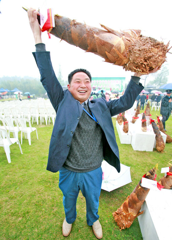 新兴勒竹笋王旅游基地图片