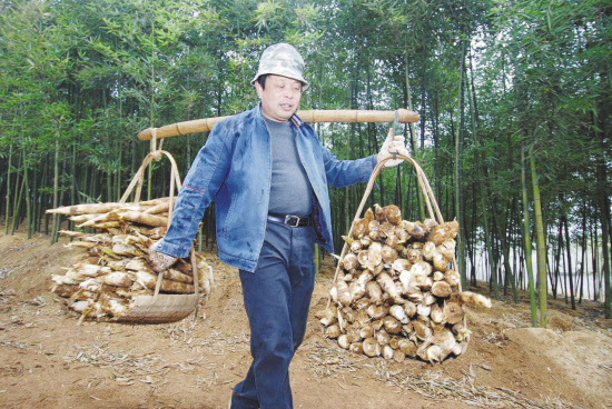 【图文】一担挑起2000元