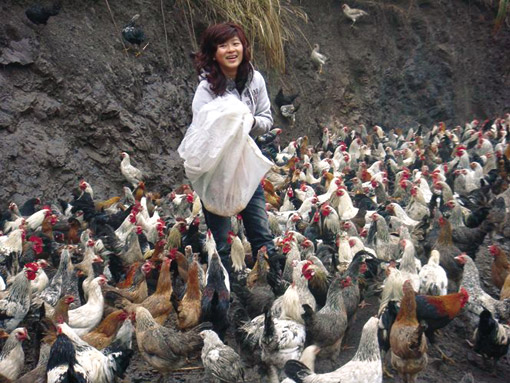 八零后女大学生当鸡司令