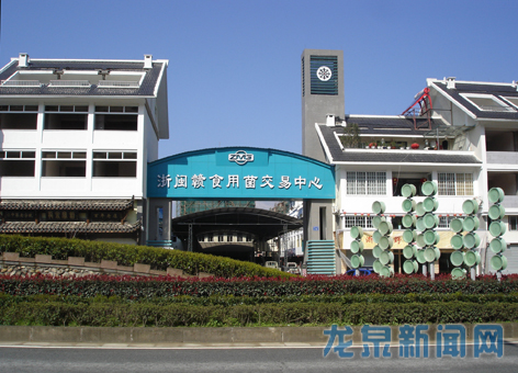 龙泉论坛开幕时间的日益临近,日前,有关方面对城市环境卫生进行了整治