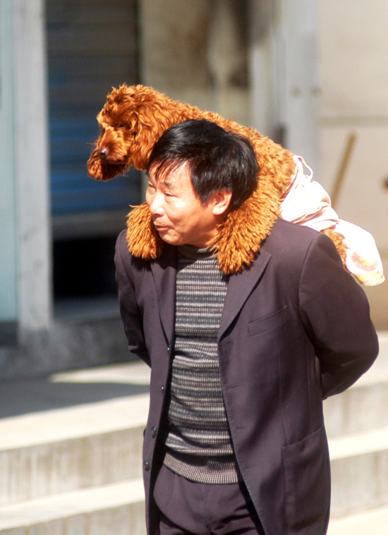 2009年11月26日09:03    | 来源:   安吉新闻    |         於袁民