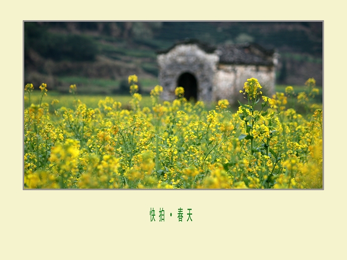 点击图片或使用键盘← →翻页  点击图片或使用键盘← →翻页