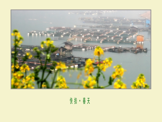 点击图片或使用键盘← →翻页  点击图片或使用键盘← →翻页