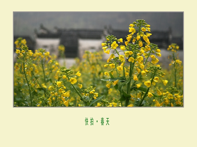 点击图片或使用键盘← →翻页  点击图片或使用键盘← →翻页