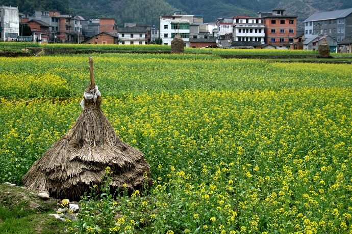 点击图片或使用键盘← →翻页  点击图片或使用键盘← →翻页