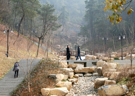 連日來,春意濃濃,不少市民來到新建成的鳳凰山公園,一邊沐浴春光,一邊