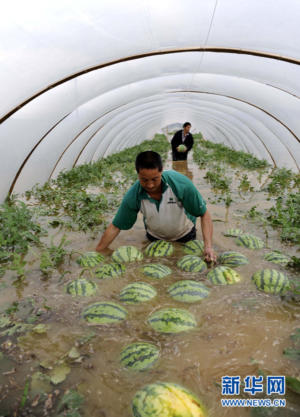 点击查看更多新闻图片