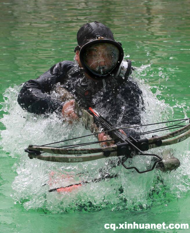 蛙人水下训练精彩瞬间
