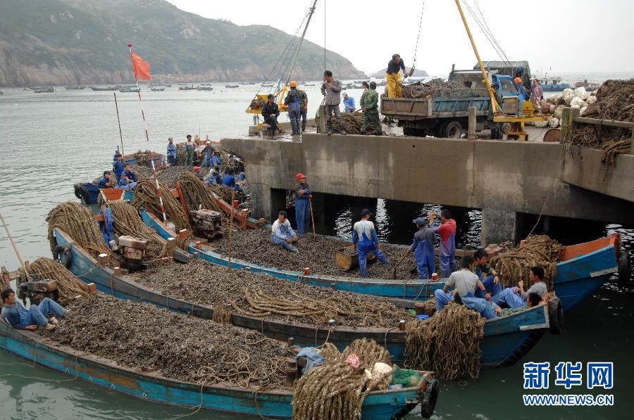 贻贝养殖业是浙江省舟山市嵊泗县枸杞乡的一大主导产业,2011年枸杞乡