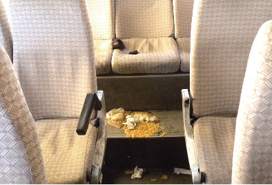 呕吐物满地 恶心