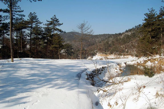 大寺基滑雪场图片