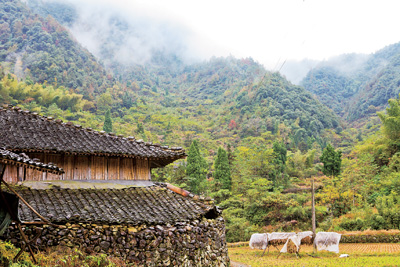 竹篱茅屋寂寞山溪映日辉上洋日溪速写