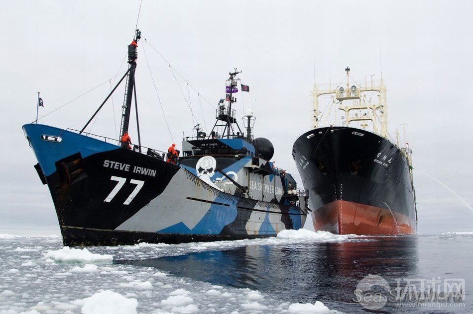 荷蘭反捕鯨船遭日本軍艦