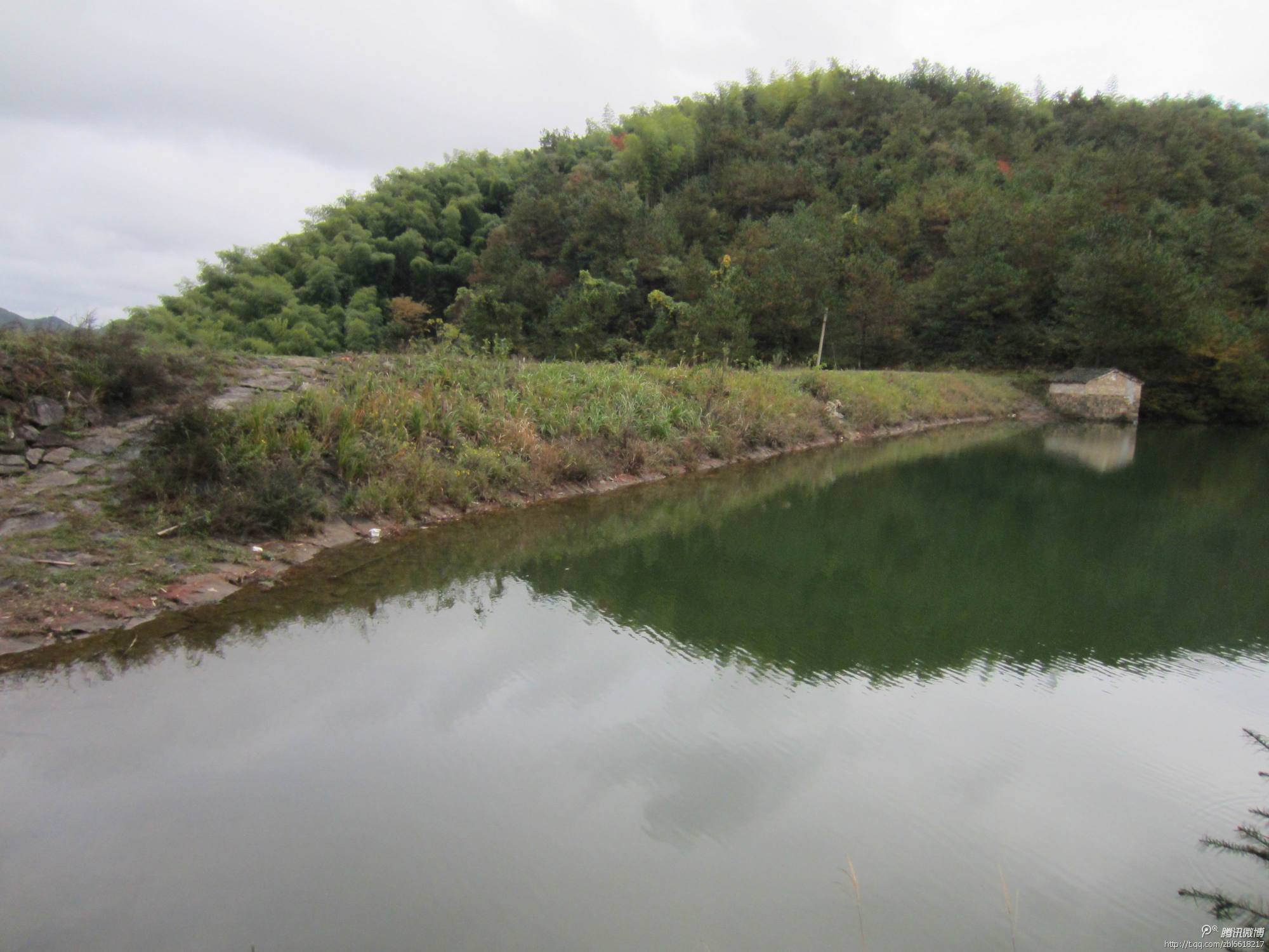 竹溪村树坞岭水库农业副乡长周小南检查树坞岭水库