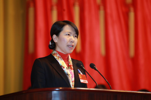 县长陈蕾妍作政府工作报告