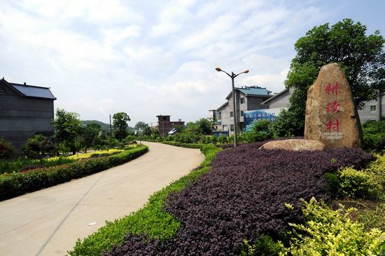 立足先天优势 贺村打造生态宜居小城市