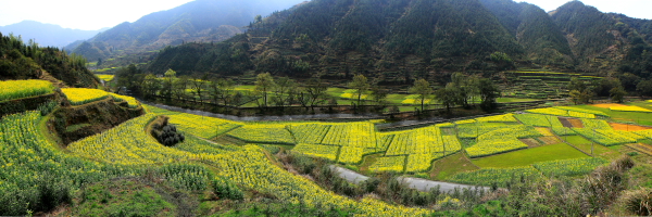 何田乡田畈村