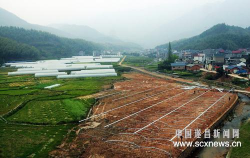 东峰村生态蔬菜基地扩建