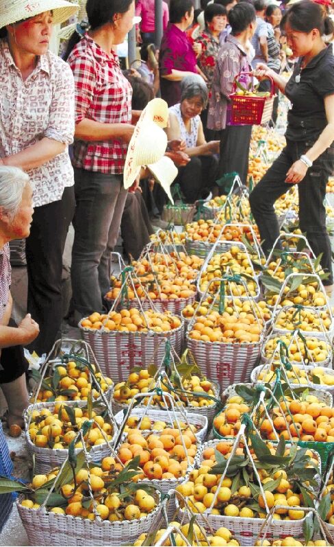 兰溪枇杷逢"大年",价格比往年便宜不少