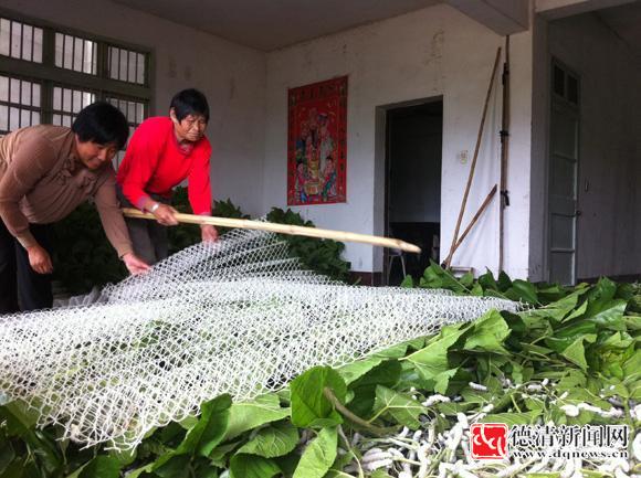 蚕上山用什么做山图片图片