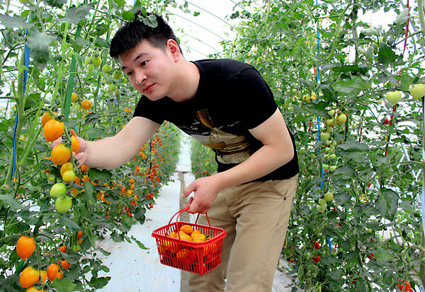 农家乐：一片充满希望的土地