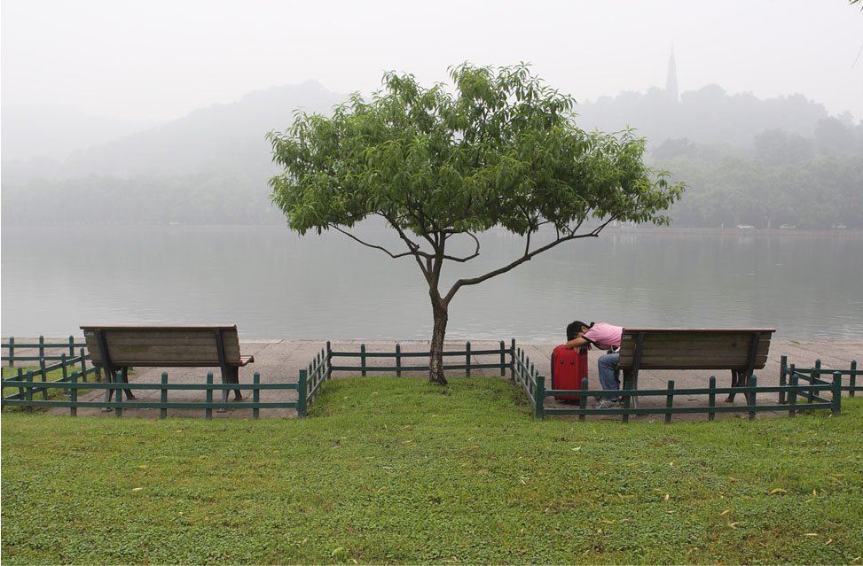 西湖边的一棵树10p