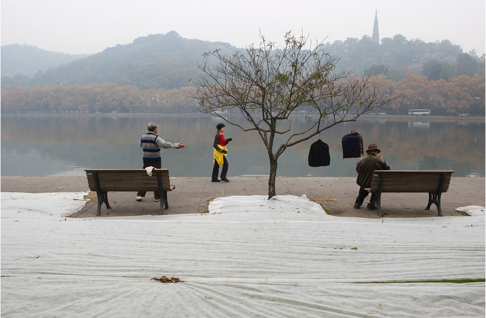 西湖边的一棵树10p