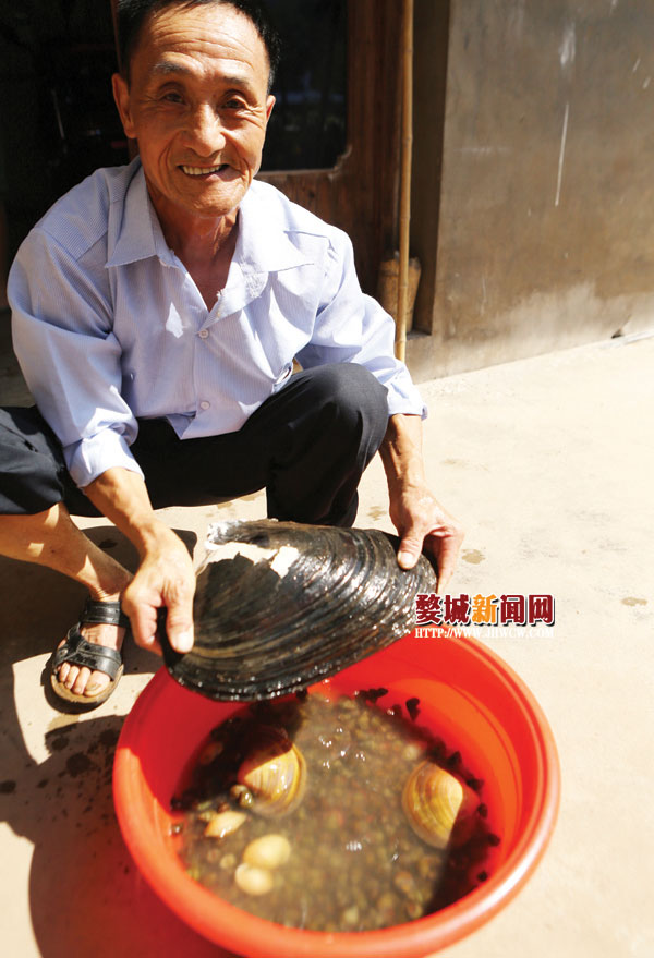 原来,8月3日,吴根发从水塘里捞出了一个大河蚌