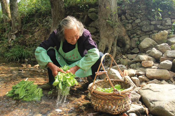 5.一会儿功夫,黄阿婆摘了一篮子的青菜,在小溪旁清洗起来.