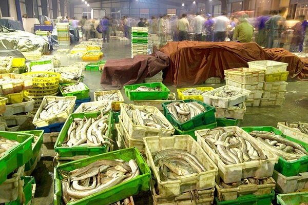 水产批发哪里进货