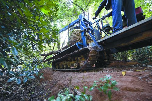 林宗华的"爬爬车"