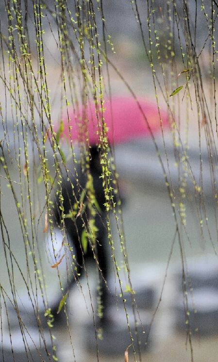 能否入春,就看明天了