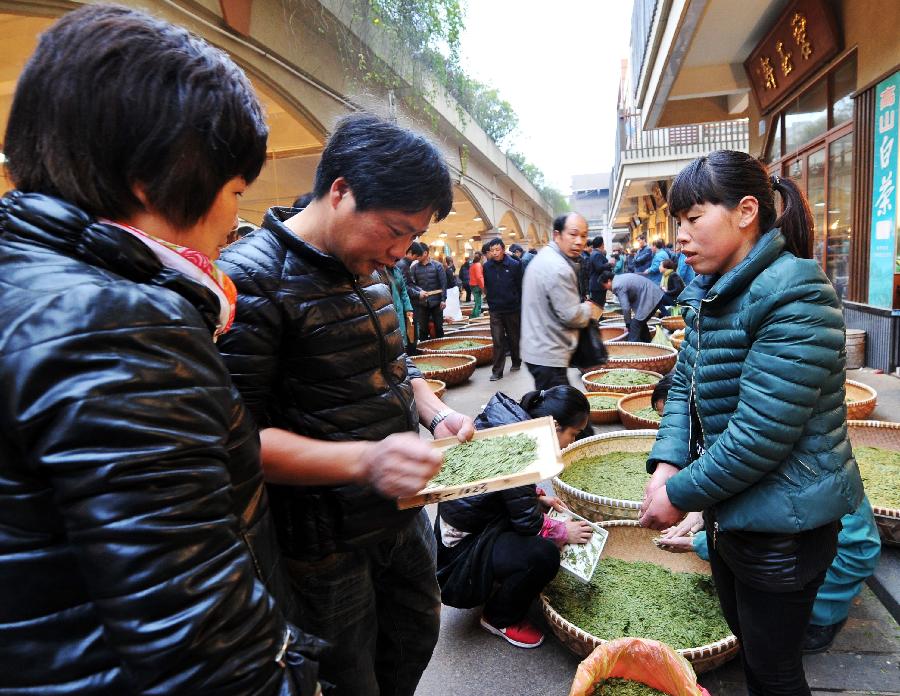 浙江新昌茶市龙井茶交易井喷