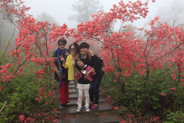 磐安高二杜鹃花节图片