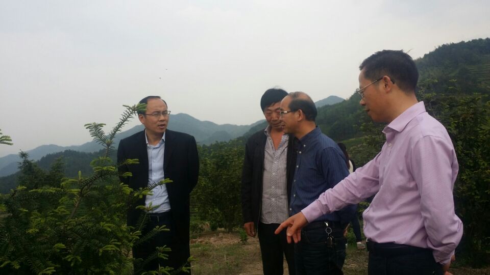 嵊州新闻网