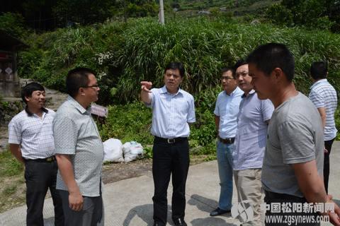 在枫坪乡丁坑村,错落有致的房屋布局,干净整洁的村容村貌,给钟昌明留