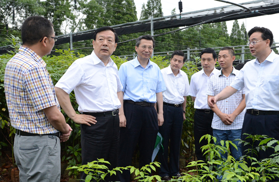 2014年6月23日,省委书记夏宝龙考察龙泉现代林业苗木基地.