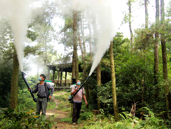 壶山森林全面喷药灭虫