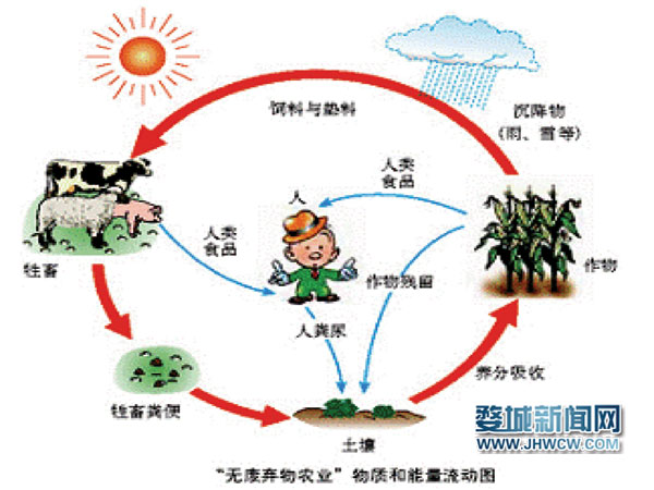 生態循環如何激活婺城現代農業