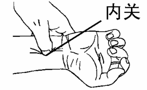 北京市中醫藥管理局研究員王彤介紹,預防心臟病,最好經常按摩內關穴.