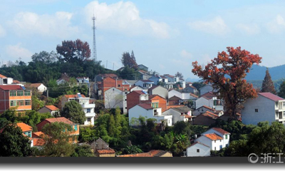 【行行摄摄】美丽乡村——贵门乡雅安村