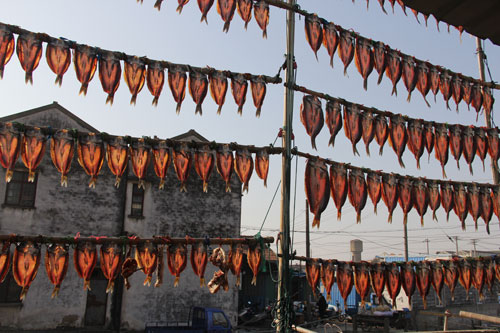 太湖晒鱼年味浓