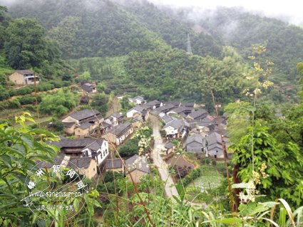 坚持真抓实干 共建和美北漳-嵊州新闻网