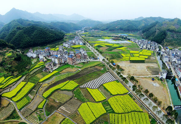 打造多彩田园--遂昌新闻网